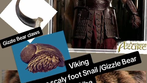 VIKING SNAIL, BEAR TRIBE