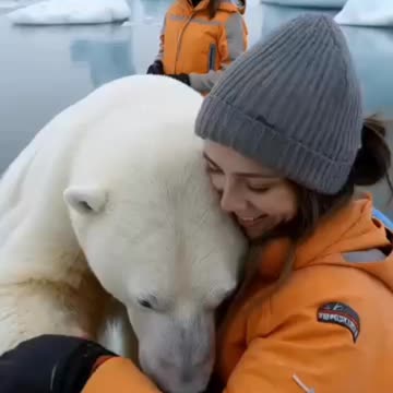 Polar Bear,s Heartwarming Rescue 🕵