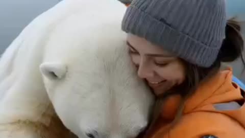 Polar Bear,s Heartwarming Rescue 🕵