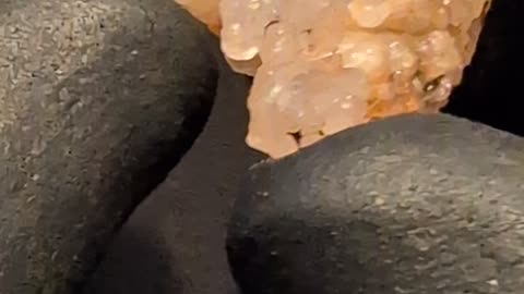 Botryoidal Chalcedony Nugget!