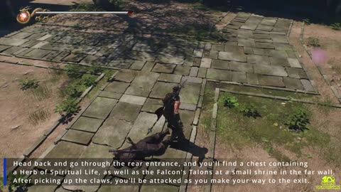 How to Get Falcon's Talons - Ninja Gaiden 2 Black