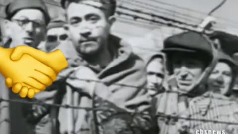 Bishop Richard Nelson Williamson said he believes only 300,000 died during WW2