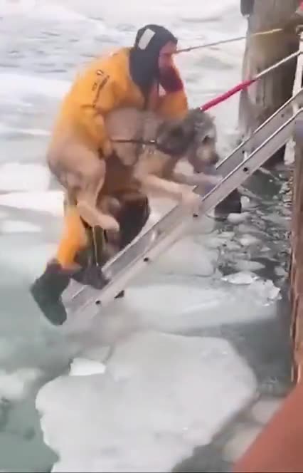 DETROIT 🌊🧊 FLOODED AND FROZEN [DOG RESCUED 🐶 FROM ICE FLOE]