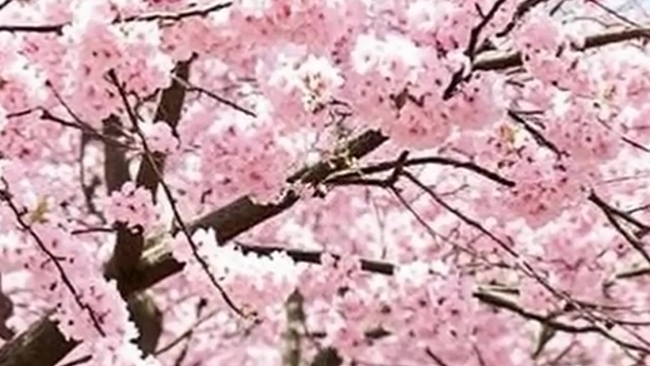 Breaking: Chaos and Controversy Across the Globe!