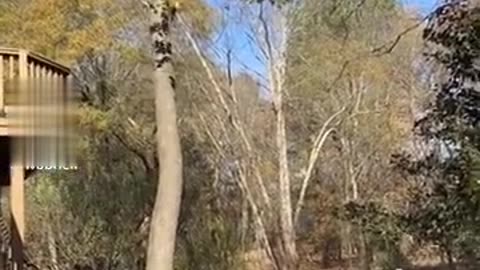 You Are Running the Wrong Way!