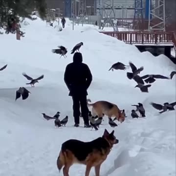 What's going on here...