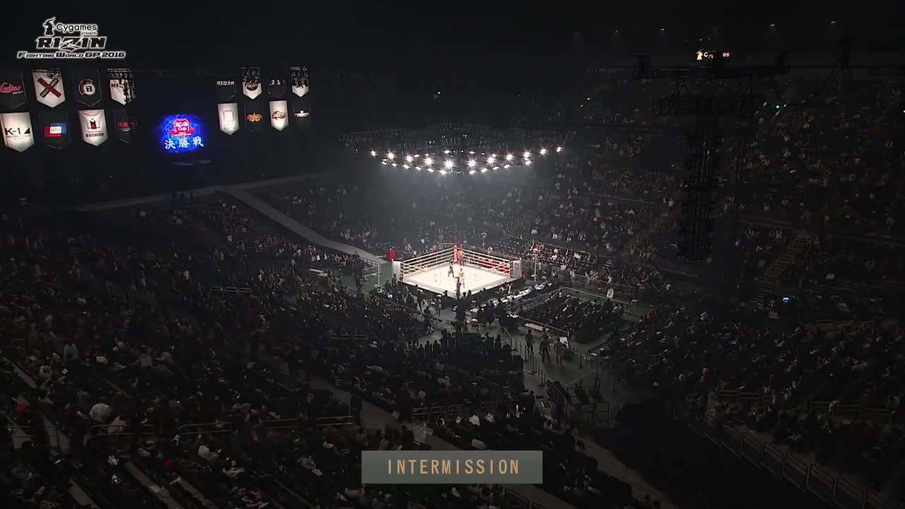 Rizin World GP 2016 Final Round - Dec 31 2016 -Saitama Super Arena (1 of 2)