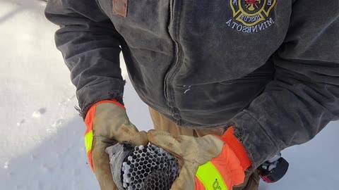 Dissecting A Bald-Faced Hornet Nest