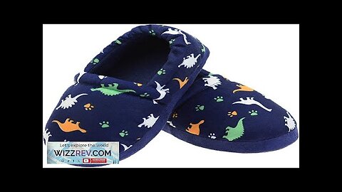 LA PLAGE Dinosaur Slippers for Boys Non Slip Little Kid Slippers Review