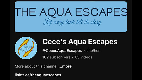 Sunday With Cece's Aqua Escapes