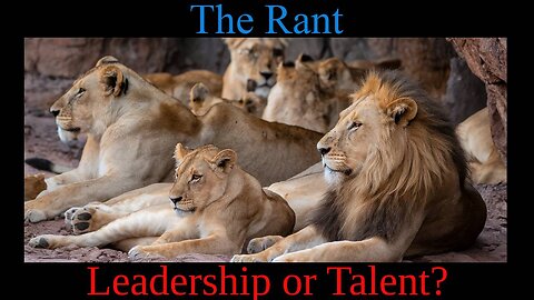 Leadership or Talent?