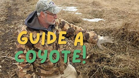Proper Guiding at Trapping Sets