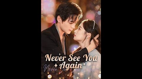 Never See You Again