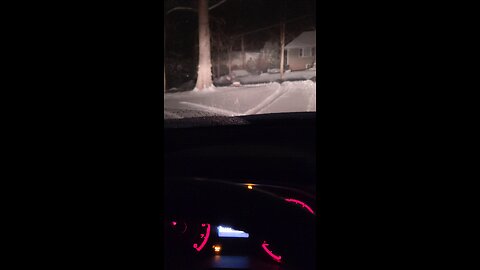 Deer in the woods on a snowy night