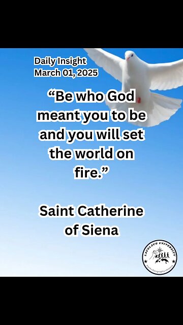 Daily Insight March 01, 2025