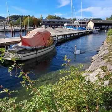 3 Relaxzitate „432Hz Meditationsmusik ? | 60 Sekunden Entspannung | #Shorts“