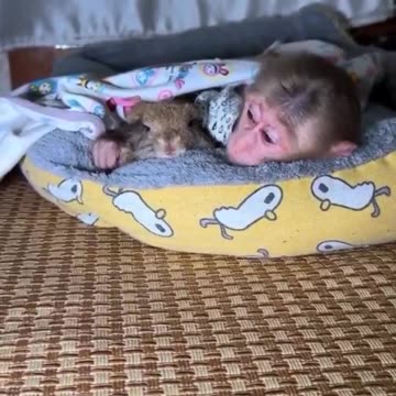 Sleepover with friend 😊