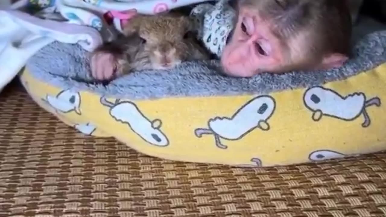 Sleepover with friend 😊