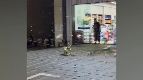 The Funniest Animal Videos 2024 😁 Funny Dogs and Cats are here to Break your HEART