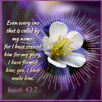 CREATED TO PRAISE - DAILY DEVOTIONAL ❤️