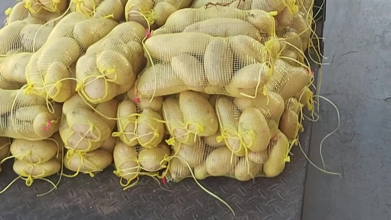 The most beautiful potatoes from the heart of the farm