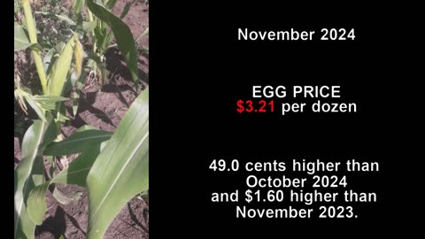 In the US, the average price of milk is $24.20 per cwt. eggs are $3.21 per dozen