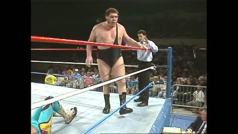 (1989.01.29) Andre the Giant vs Jake "The Snake" Roberts - WWF