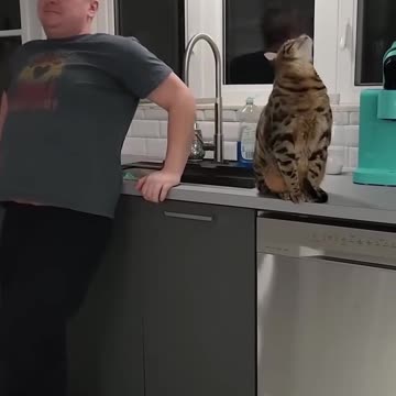 Who is behind me 🐱