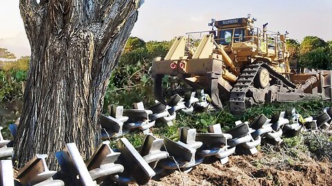 Clearing Wooded Land with Anchor Chain and Bulldozer.