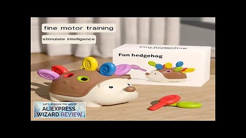 Montessori Educational Toy Fine Motor Toys for Toddlers 1-3 Hedgehog Learning Counting Review