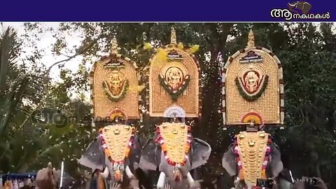 ആനകളുടെ ജീവനെടുക്കുന്ന എരണ്ടക്കെട്ടും, പാദ രോഗവും _ Erandakettu in elephant malayalam _ Padharogam