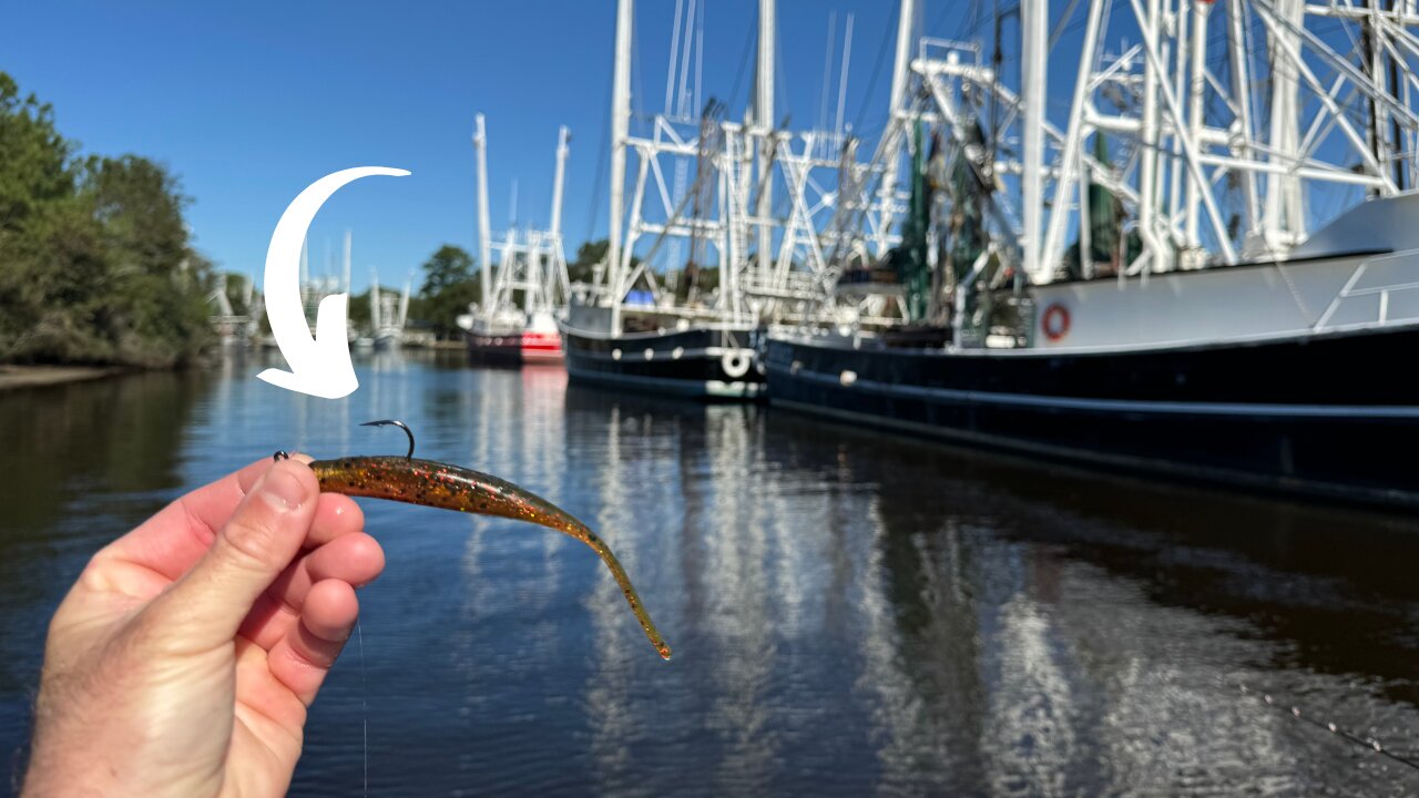 We Caught Dozens Around The SHRIMP BOATS And Bulkheads Using THESE Lures Only