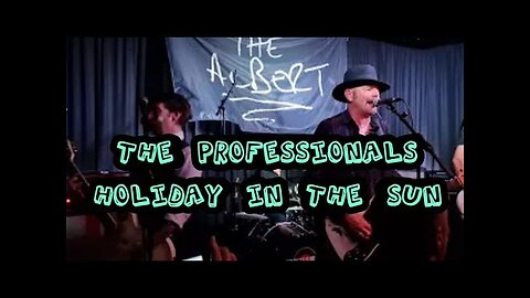 The Professionals - Holidays In The Sun (Sex Pistols)