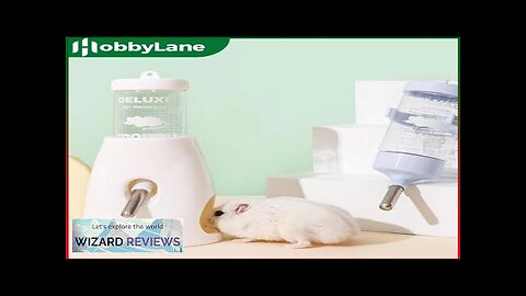 Hamster Automatic Water Dispenser Bottle Dispenser Leak-proof Double Ball Design Feeding Review