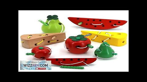 Montessori Toy Worm Eat Fruit Wooden Puzzle Toy Kids Fingers Flexible Training Review