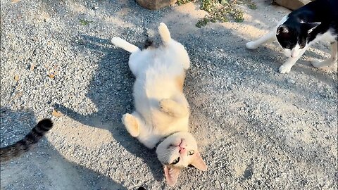 Queen TiTi So Excited While I Go To see Her. She Runs to Me And So welcome To Me
