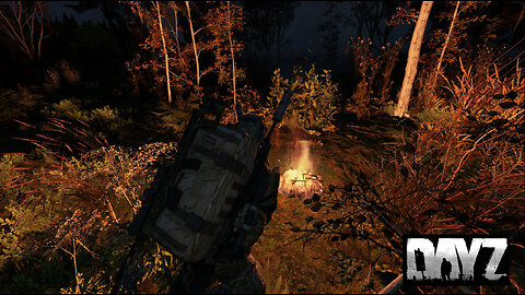 Old guy trying to survive - #dayZ #deerisle #survival #canadian #swiftlifestyles