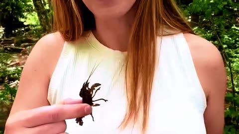 Silvia Nature