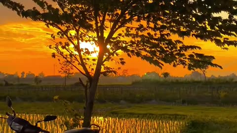 Subahanallah ♥️✨