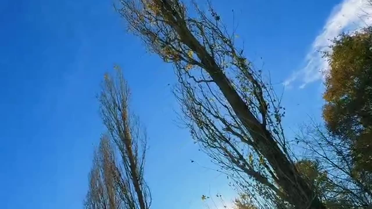 Beautiful Day- Parco Nord Milano. #beautifuldays #beautyofnature #naturelover #shorts