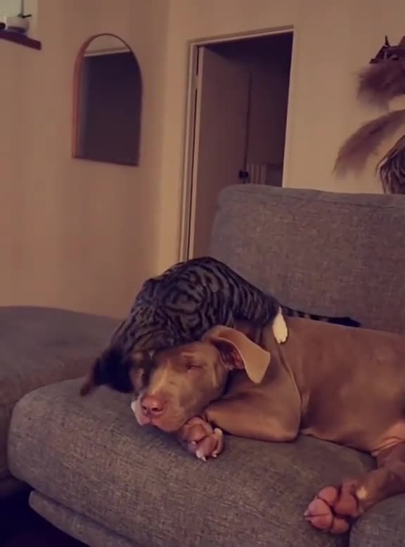 Long time no see friend