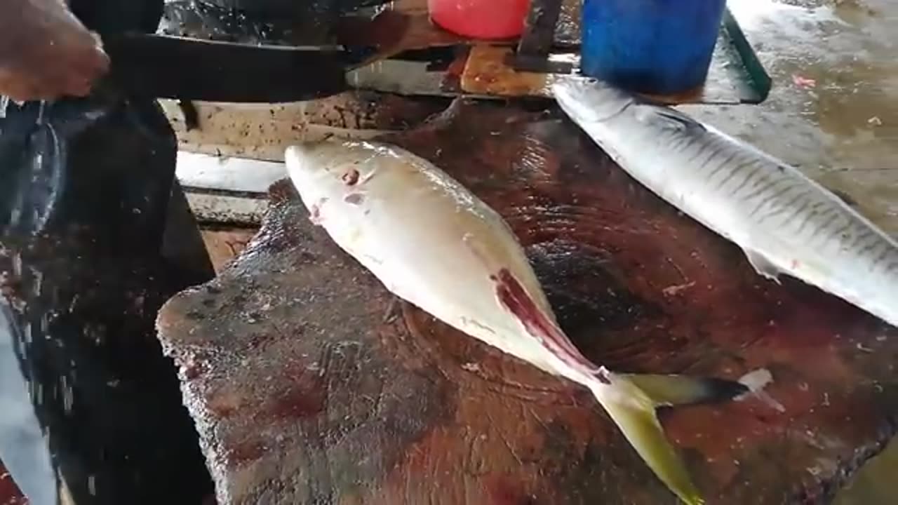 Yellow Trevally Fish Cutting _ Fish Cutting Sri Lanka