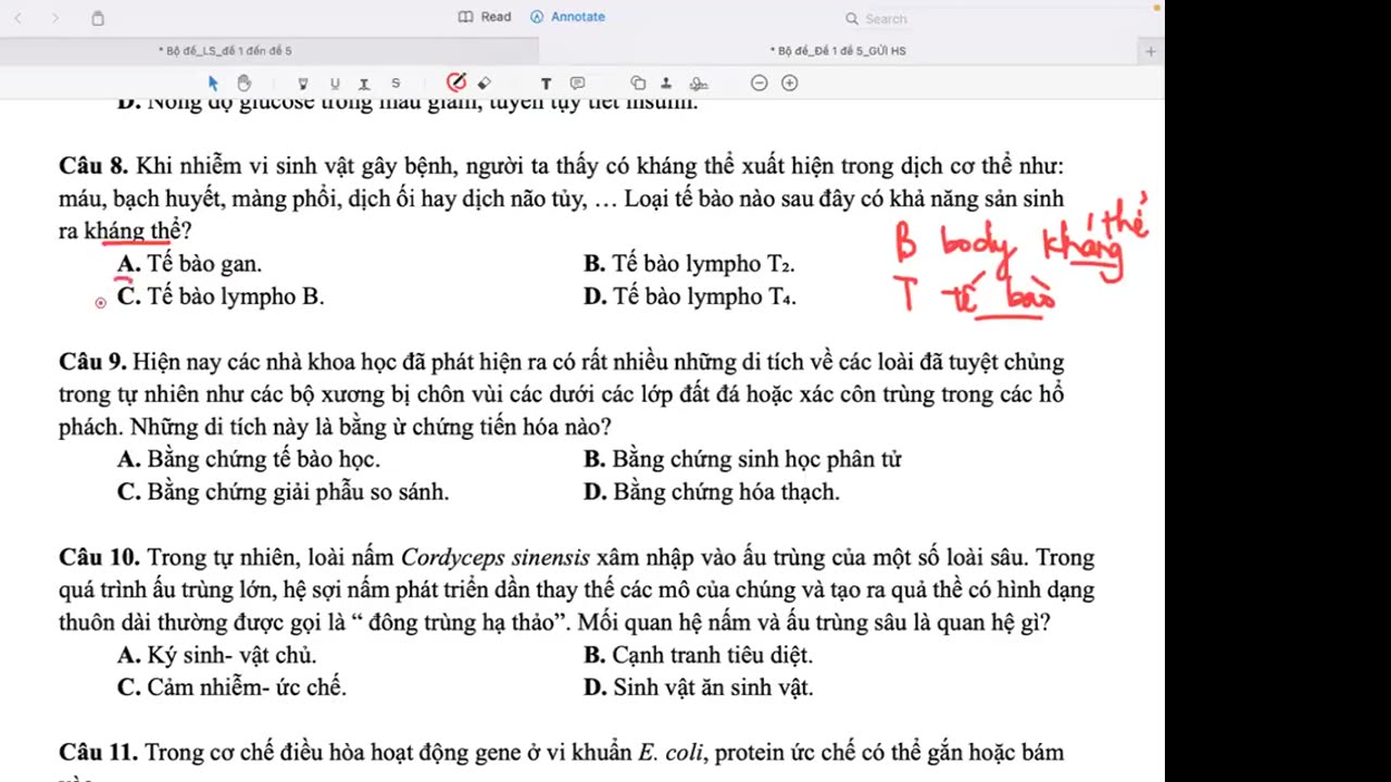 "SINH BUỔI 19 : LUYỆN ĐỀ "
