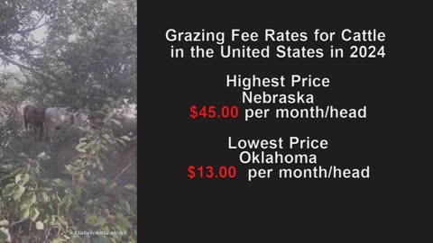 Grazing Fee Rates for Cattle in the US in 2024
