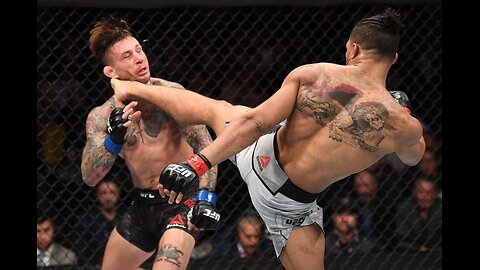 Most Brutal Knockouts Of 2024 | MMA Knockouts 