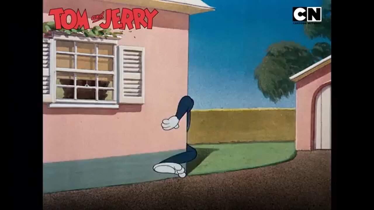 Tom And Jerry