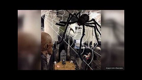 200" Halloween Spider Web + 59" Giant Spider Decorations Fake Spider Review