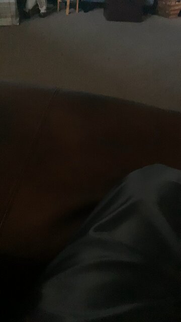 Cartoon intros be like