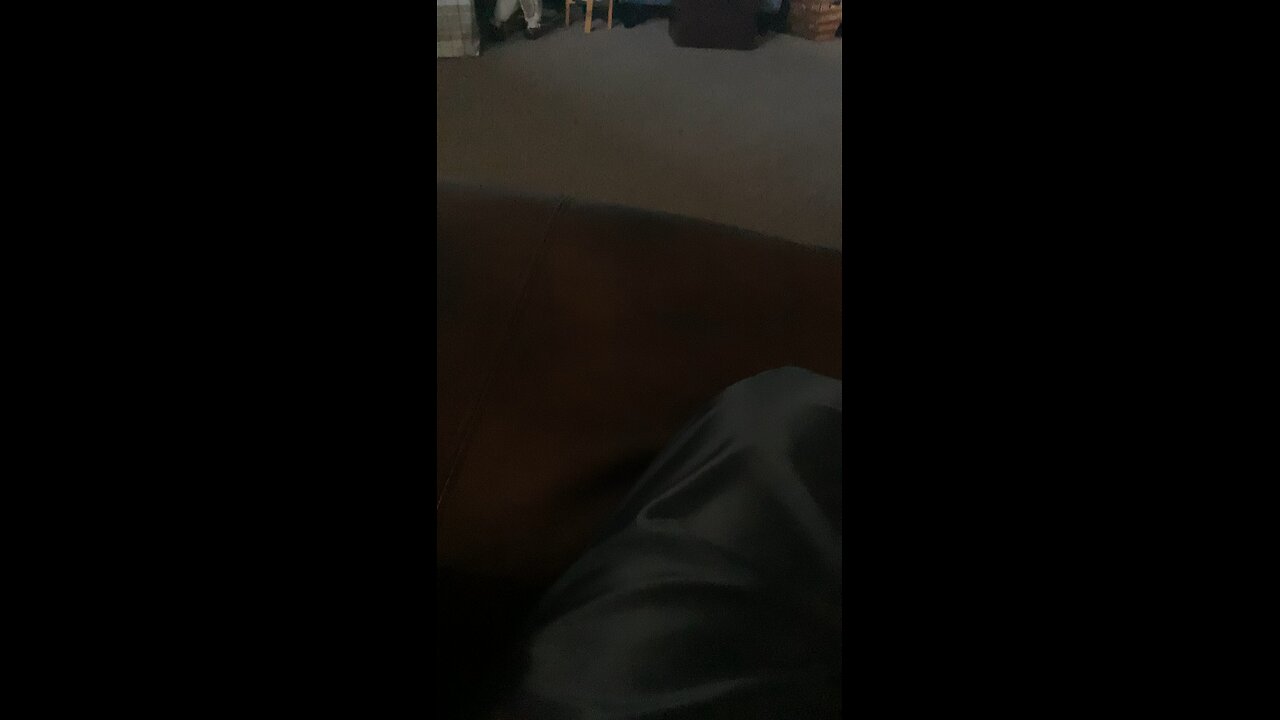 Cartoon intros be like