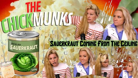 The CHICKmunks: Sauerkraut Coming From The Ceiling - OH NO!